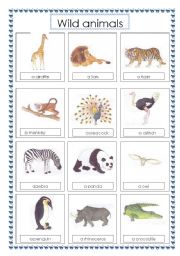 English Worksheet: voc wild animals (1)