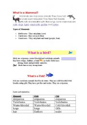 English Worksheet: mammals, birds, fish