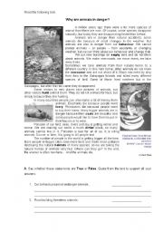 English Worksheet: Why are animals in danger - written test