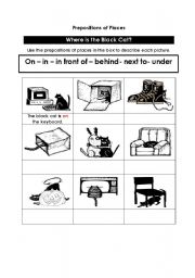 English Worksheet: Where is the Black Cat?