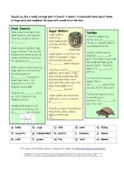 English Worksheet: Strange Pets