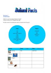 English Worksheet: ANIMAL FACTS