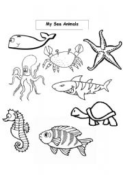 Sea Animals