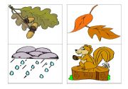 English Worksheet: flascards autumn