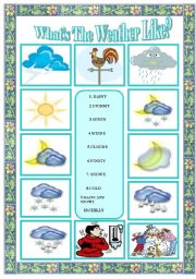 English Worksheet: What is the weather like?