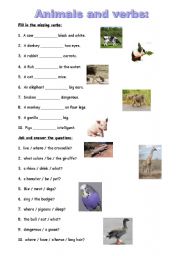 Animals and verbs