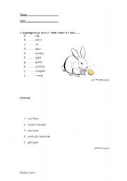 English Worksheet: a or an? plural