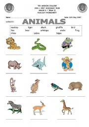 animals