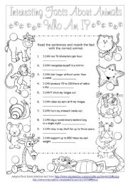 English Worksheet: Interesting Facts About Animals