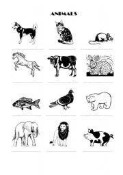 English worksheet: Animals