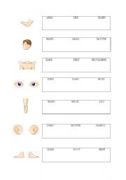 English Worksheet: Body parts quiz #2