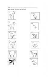 English worksheet: animals babies matching activity