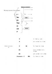 English Worksheet: simple present form