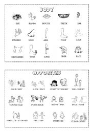 English Worksheet: Body / opposites mini-dictionary (B&W)