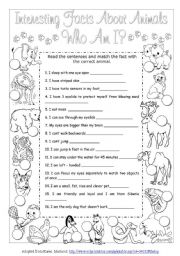 English Worksheet: Interesting Facts About Animals