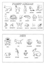 Animal mini-dictionary (B&W) 2/3