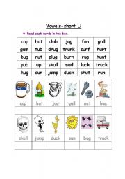 English Worksheet: Vowel - short U