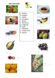 English Worksheet: Tropical Fruits in Thailand!!!!!