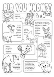 English Worksheet: Interesting Facts About Animals