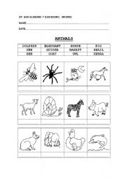 English Worksheet: clothes, animals, jobs, likes....