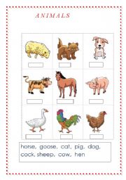 English Worksheet: Animals