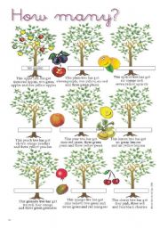 English Worksheet: The apple tree has got ...