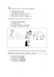English Worksheet: Test for begginers