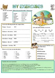 English Worksheet: MY EXERCISES 4