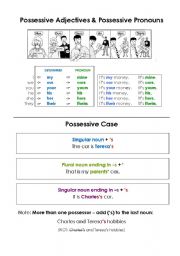 English Worksheet: Possessive Adjective & Possessive Pronouns