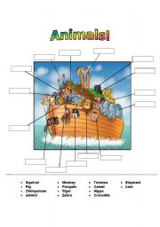 English Worksheet: animals