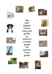 English worksheet: animals and parts of a house