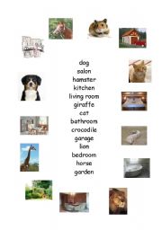 English Worksheet: animals and parts of a house