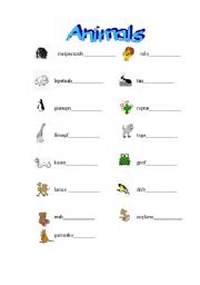 English worksheet: animals