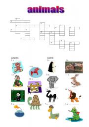 animals crossword