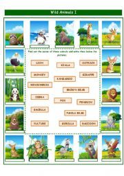 English Worksheet: WILD ANIMALS!