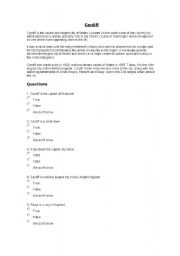 English Worksheet: reading comprehension