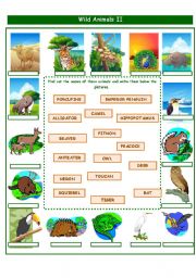 English Worksheet: WILD ANIMALS PART 2