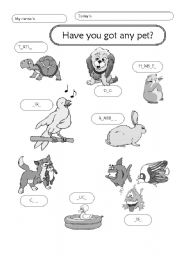 English Worksheet: Pets