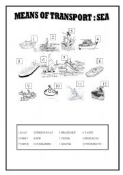 English Worksheet: MEANS OF TRANSPORT : SEA