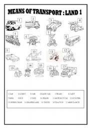 English Worksheet: MEANS OF TRANSPORT : LAND 1