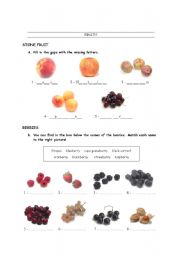 English worksheet: Fruit