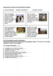 English Worksheet: READING