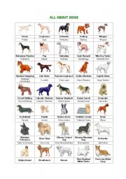 English Worksheet: All abou dogs
