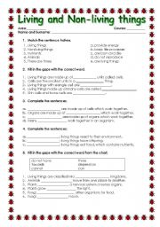 English worksheet: LIVING AND N-LIVING THINGS