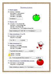 English Worksheet: Grammar sheet the plural of nouns