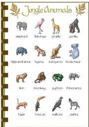 Jungle Animals Coloring Sheet - ESL worksheet by shannoncronin