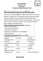 English Worksheet: Reading Comprehension Test