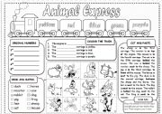 Animal Express