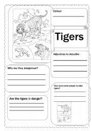 English Worksheet: Tigers