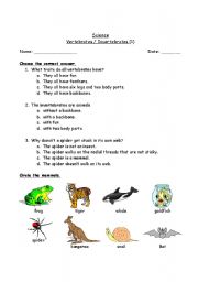 English Worksheet: Vertebrates / Invertebrates